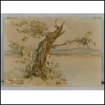 КРОПИВНИЦКИЙ Евгений Леонидович (1893–1979) Пейзаж с деревом. 1968