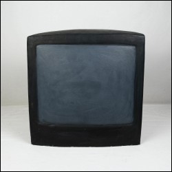 ЖЁЛУДЬ Анна (1981–2025) Телевизор. 2006