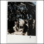 БЕЛЕНОК Пётр Иванович (1938–1991) Сияние. 1974