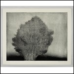 БАСЫРОВ Гариф Шарипович (1944–2004) Серия «Космос». 1983