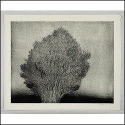 БАСЫРОВ Гариф Шарипович (1944–2004) Серия «Космос». 1983