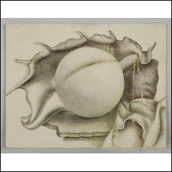 ГРОСИЦКИЙ Андрей Борисович (1934–2017) Раковина. 1993