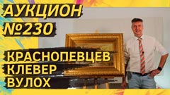 Аукцион 230