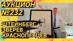 Аукцион 232