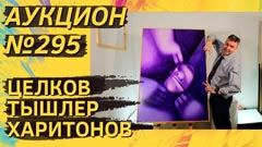 Аукцион 295