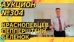 Аукцион 304